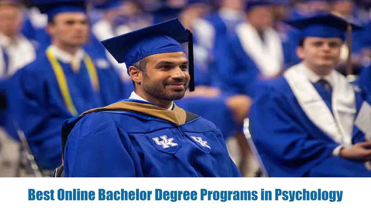 Best Online Bachelor Degree Programs in Psychology